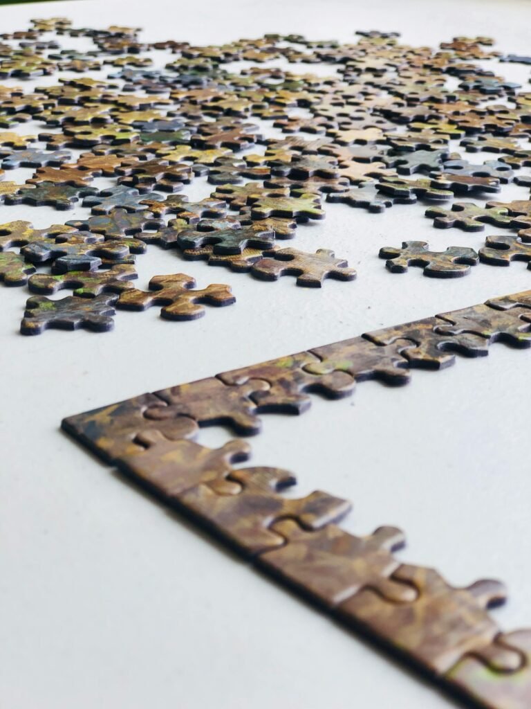 pexels m sovran wolfe 1593386 8568562